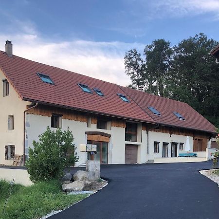 T4 Meuble De 105M2 Axe Annecy-Geneve Appartement Saint-Martin-Bellevue Buitenkant foto