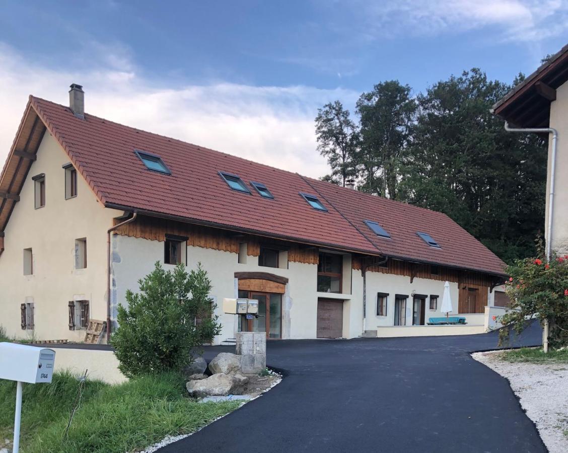 T4 Meuble De 105M2 Axe Annecy-Geneve Appartement Saint-Martin-Bellevue Buitenkant foto